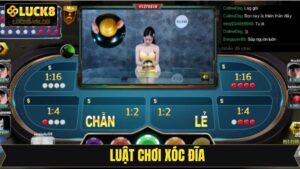 Luật Chơi Xóc Đĩa - Quy Tắc Dễ Hiểu Cho Người Mới Tại Luck8 