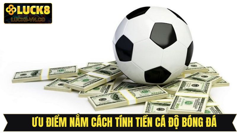 Cách Tính Tiền Trong Cá Độ Bóng Đá Chi Tiết, Dễ Hiểu Nhất 2 Tầm quan trọng của nắm rõ cách tính tiền cá độ bóng đá