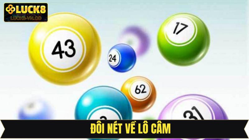 Giải thích khái niệm lô câm